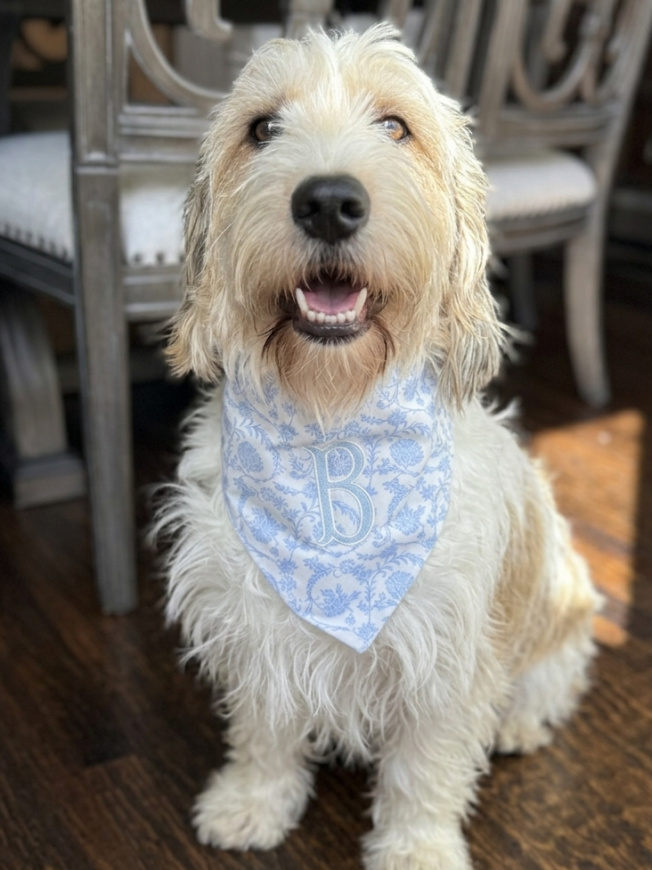 Blue Floral Dog Bandana